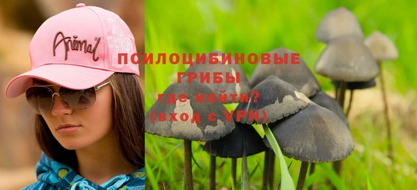 дживик Козловка