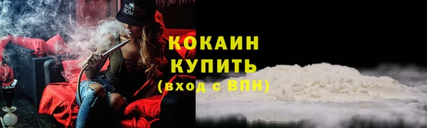 тгк Абаза