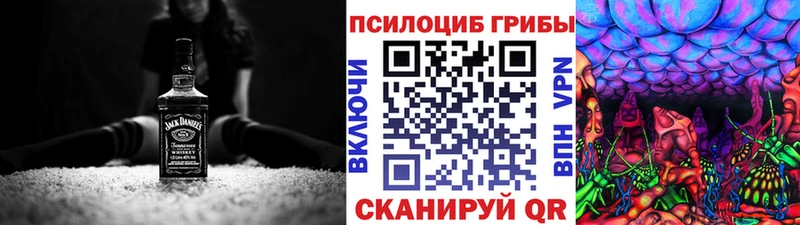 хочу наркоту  Нестеровская  Галлюциногенные грибы Psilocybine cubensis 